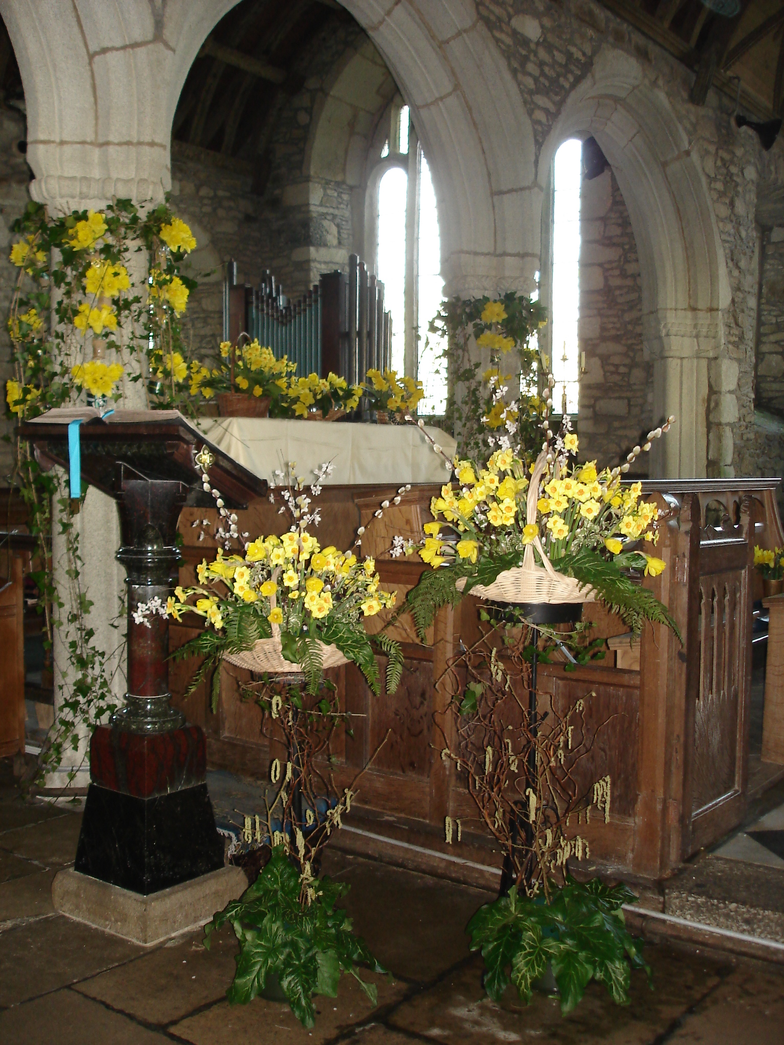Mawgan church to host 7th Daffodil Festival Truro Diocese Truro Diocese