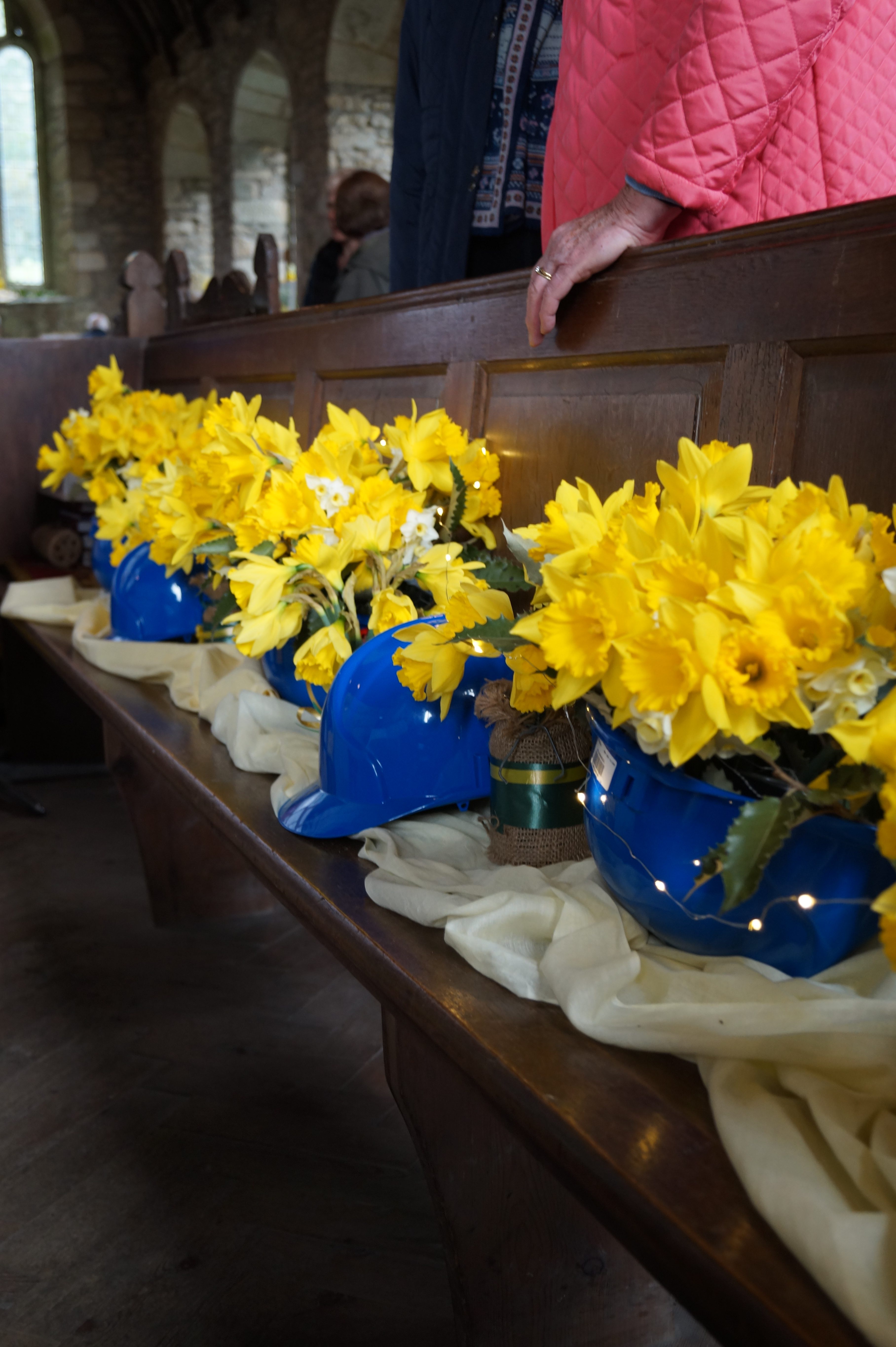 Ten thousand bulbs illuminate St Mawgan in Meneage Church for daffodil