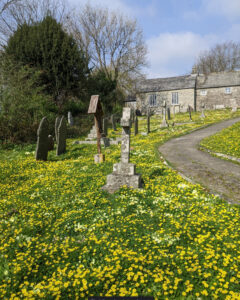 Green grass and yellow flowers in a church yard with Protus and St Hyacinth) in the background