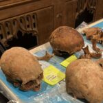 Skulls on a table with yellow cards next to them. A brown background