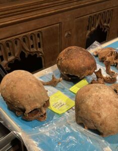 Skulls on a table with yellow cards next to them. A brown background