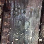 A coffin with initials on them.