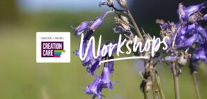 Purple flowers and the Creation Care logo with the word 'Workshop'.