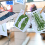 Creative materials and fern for the workshop.