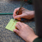 Hands writing on a sticky note.