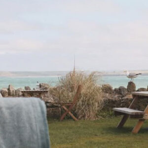 A view over a garden and out to sea. A seagull stands on a wall in front of a picnic bench.